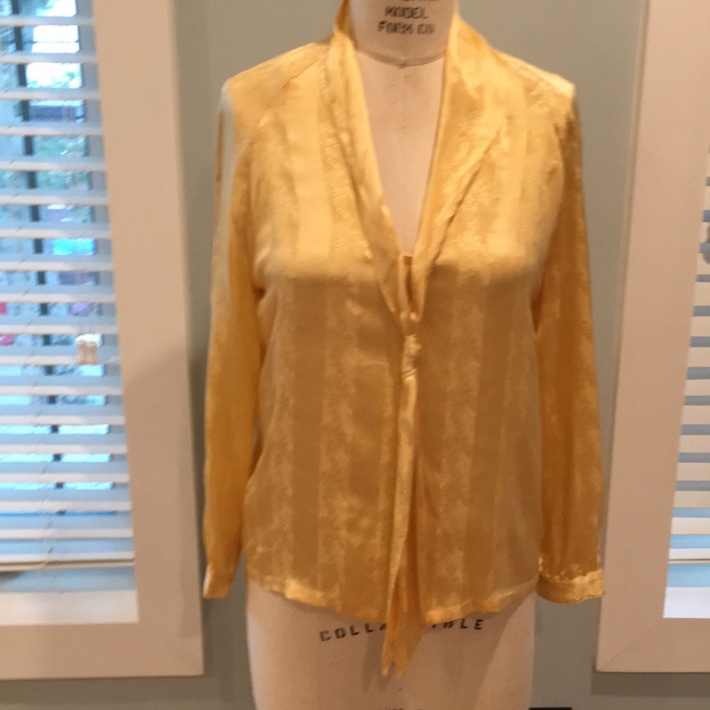 Tucker Silk Blouse Size Small